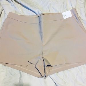 Express tan Shortie shorts